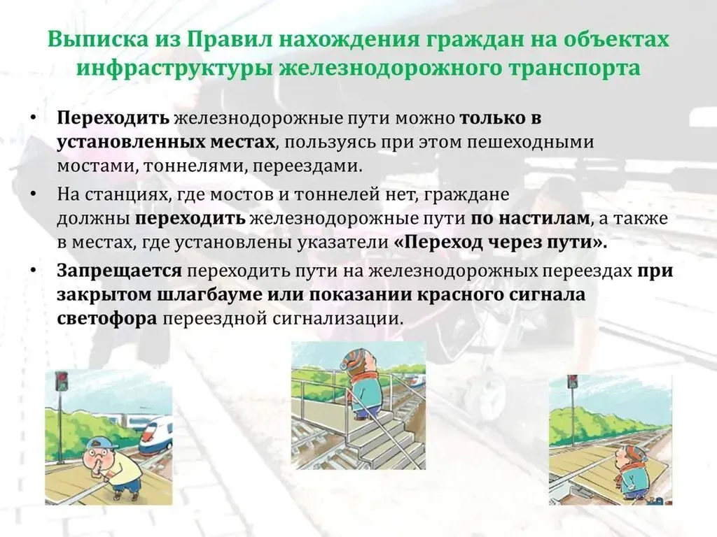 S84ryea6gD4X_413IhHhSPzeBjWJ23rA_Xo_55TX_fit-in_1024x1024_filters_quality(80)_format(webp)_782329.selcdn.ru_leonardo_uploadsForSiteId_200145_content_9be7ab4a-3d92-4af4-b59b-84d92989adf2