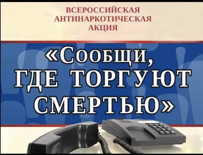 38jY2X2-o4HOrxIDXZMnL7j1r-of0CVZrZNlicFa_fit-in_700x700_filters_quality(80)_format(webp)_782329.selcdn.ru_leonardo_uploadsForSiteId_200145_content_999fca33-85b2-47b4-9b66-3c71ea61820d